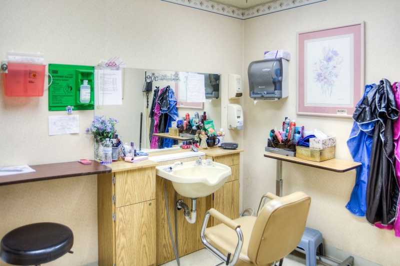 Salon